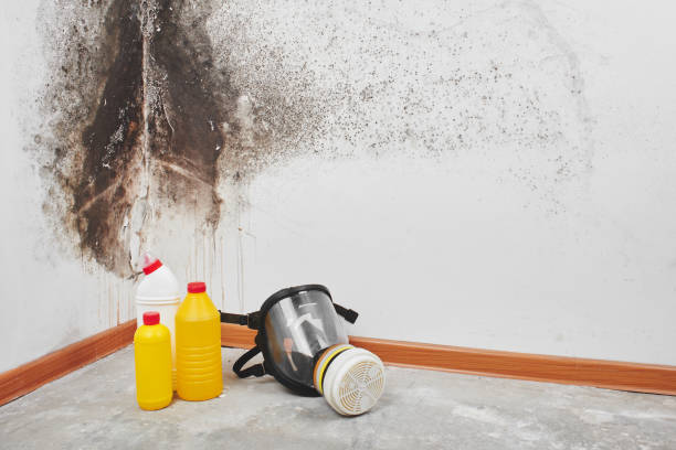  Chouteau, OK Mold Removal Pros