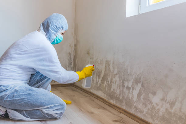 Mold Removal Process in Chouteau, OK