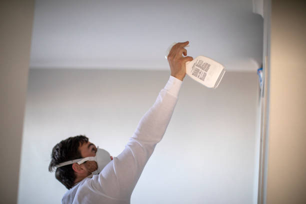 Best Affordable Mold Removal  in Chouteau, OK