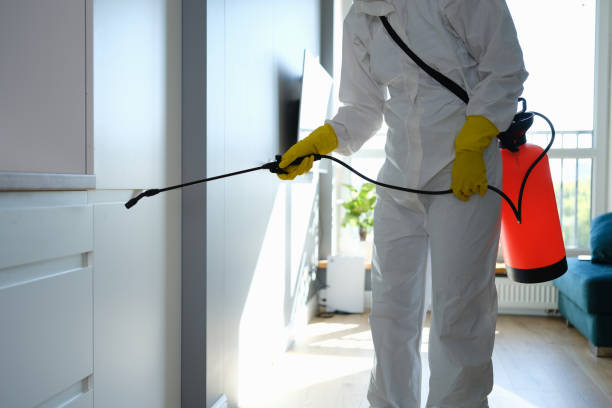 Best Certified Mold Removal  in Chouteau, OK