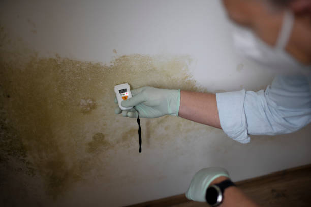 Best Mold Remediation  in Chouteau, OK