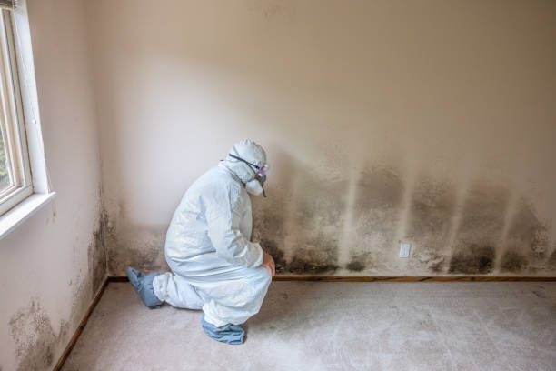 Best Commercial Mold Removal  in Chouteau, OK