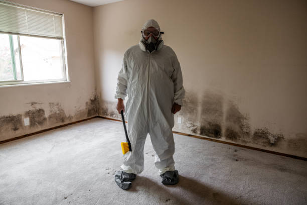 Best Home Mold Removal  in Chouteau, OK