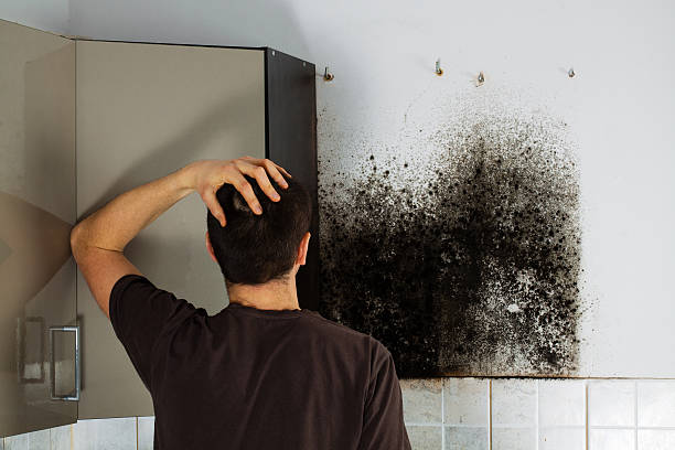 Best Residential Mold Removal  in Chouteau, OK